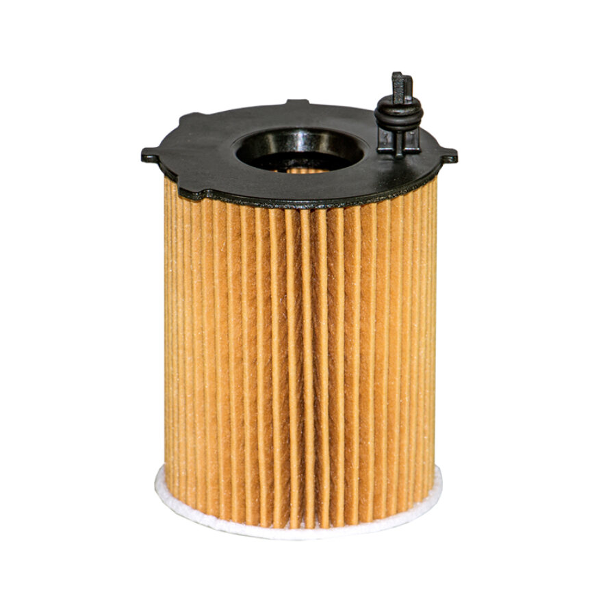 Filtron Filtro De Óleo Oe667/1