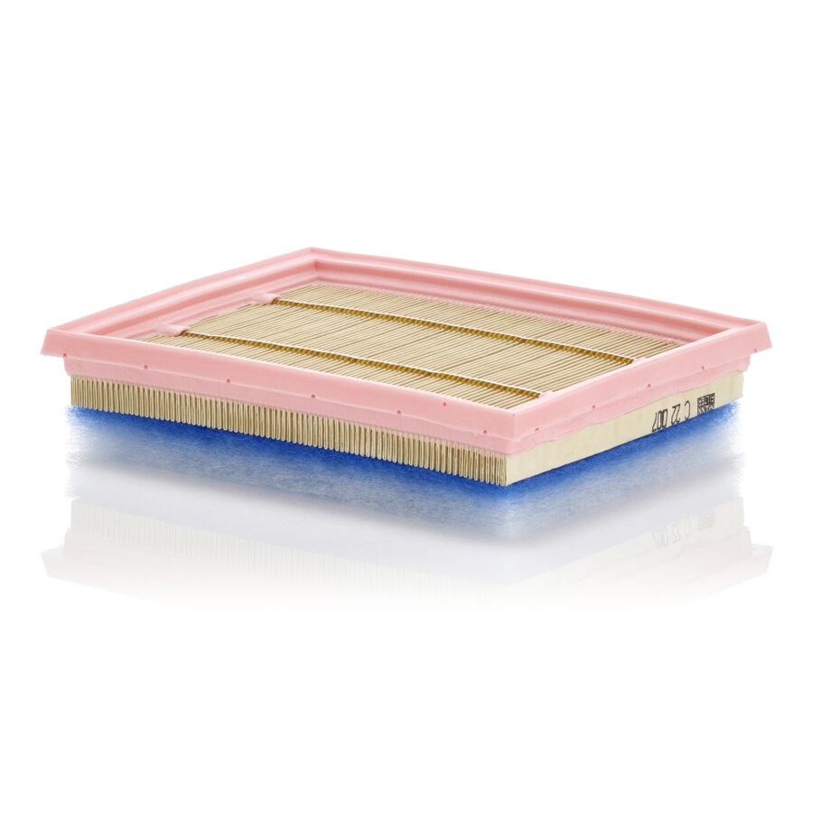 Mann Filtros De Ar C22007