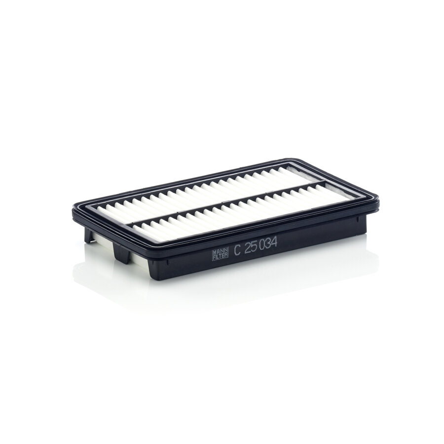 Mann Filtros De Ar C25034
