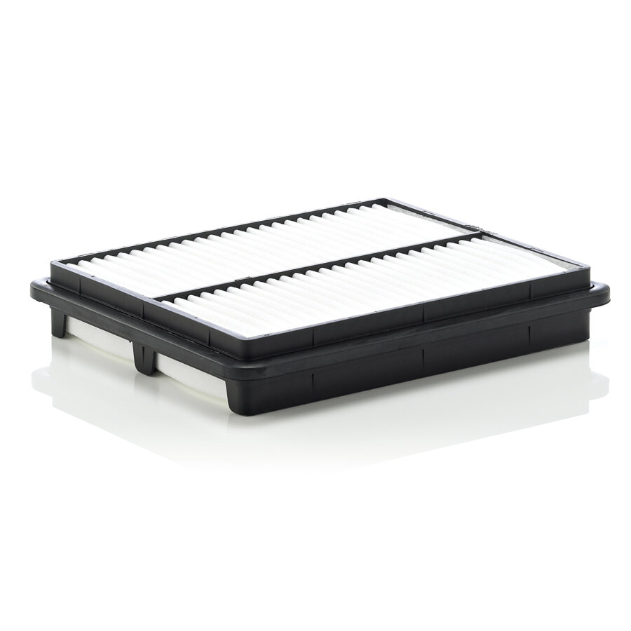 Filtro Aria MANN-FILTER C 2537/1 Per Auto E Veicoli Commerciali | Dimensioni 245x203x39mm, Alta Efficienza