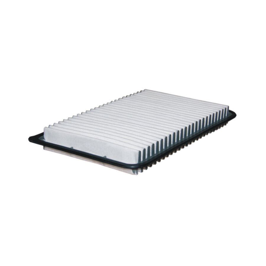 Filtron Filtro De Ar Ap113/3