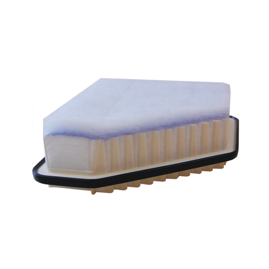 FILTRON Filtro Aria Inserto Filtro per BMW X3 2.0i xDrive20i Ap 031/1