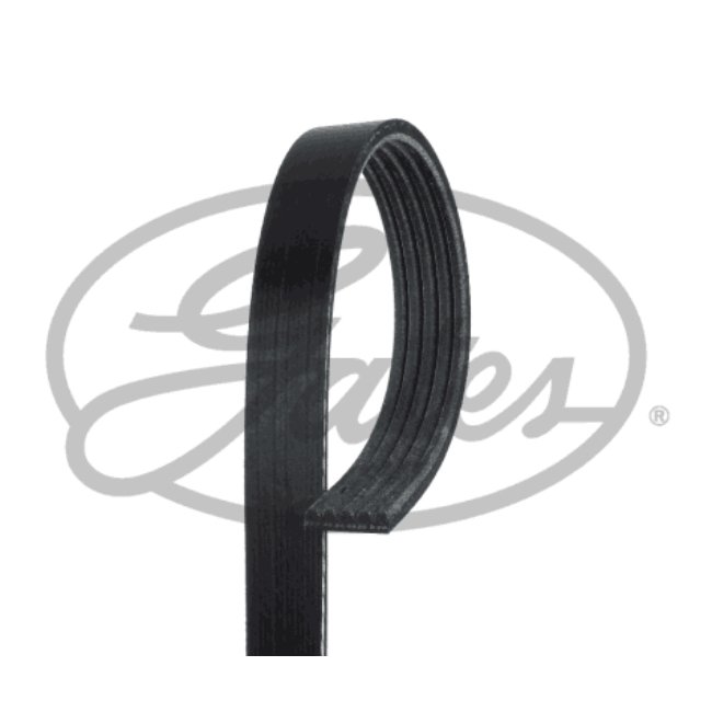 Correia  5pk870