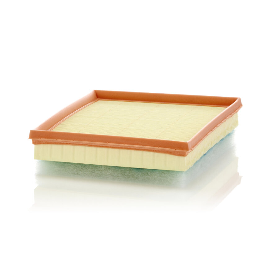 Mann Filtro De Ar C24017